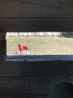 IMG_2243.jpeg