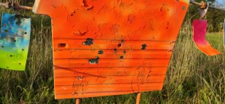 100 year needle target 8 mm hole.jpg
