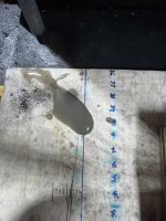 IMG_8261.jpeg