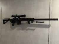 IMG_2189.jpeg