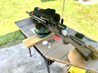 IMG_8250.jpeg