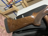 IMG_2007.jpeg
