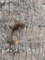 IMG_8284.jpeg