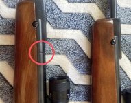 IMG_1395.jpeg