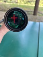 IMG_2050.jpeg