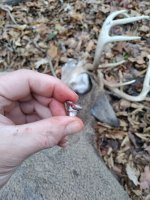 IMG_20241123_113843.jpg