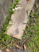 IMG_8329.jpeg