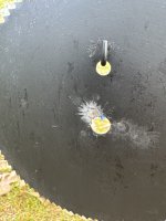 IMG_8299.jpeg