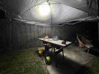 IMG_8261.jpeg