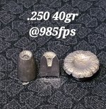 20230820_184749.jpg