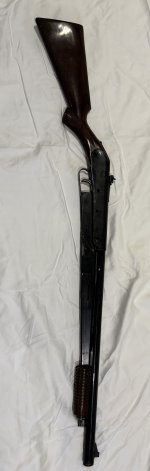 IMG_2347.jpeg