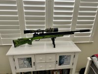 IMG_0888.jpeg