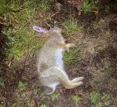 IMG_4193.jpeg