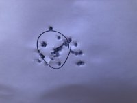 1585246593_3630428575e7cf181dd1366.91588684.jpeg