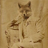 Savagefox