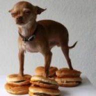 moosecaboose
