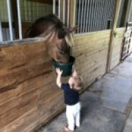 HorsesAndAmmo