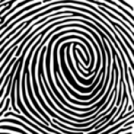 Solomon