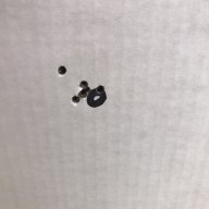 RWS