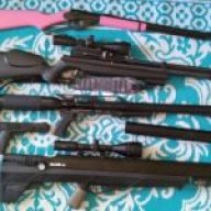 Bowhunterwa87
