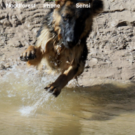 Jetdro