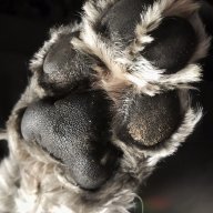 Scott_R_FL