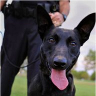 K9bite