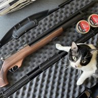 CatRod94