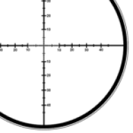 rodriguezf