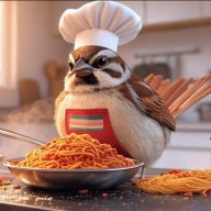 ChefSparrowRagazzi